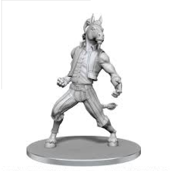 D&D Nolzur's Marvelous Miniatures Unpainted Equinal Guardinal